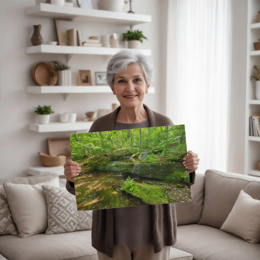 "Serene Oasis on the Long Trail" - Gallery Wrapped Canvas - Hiking With Stickers '24