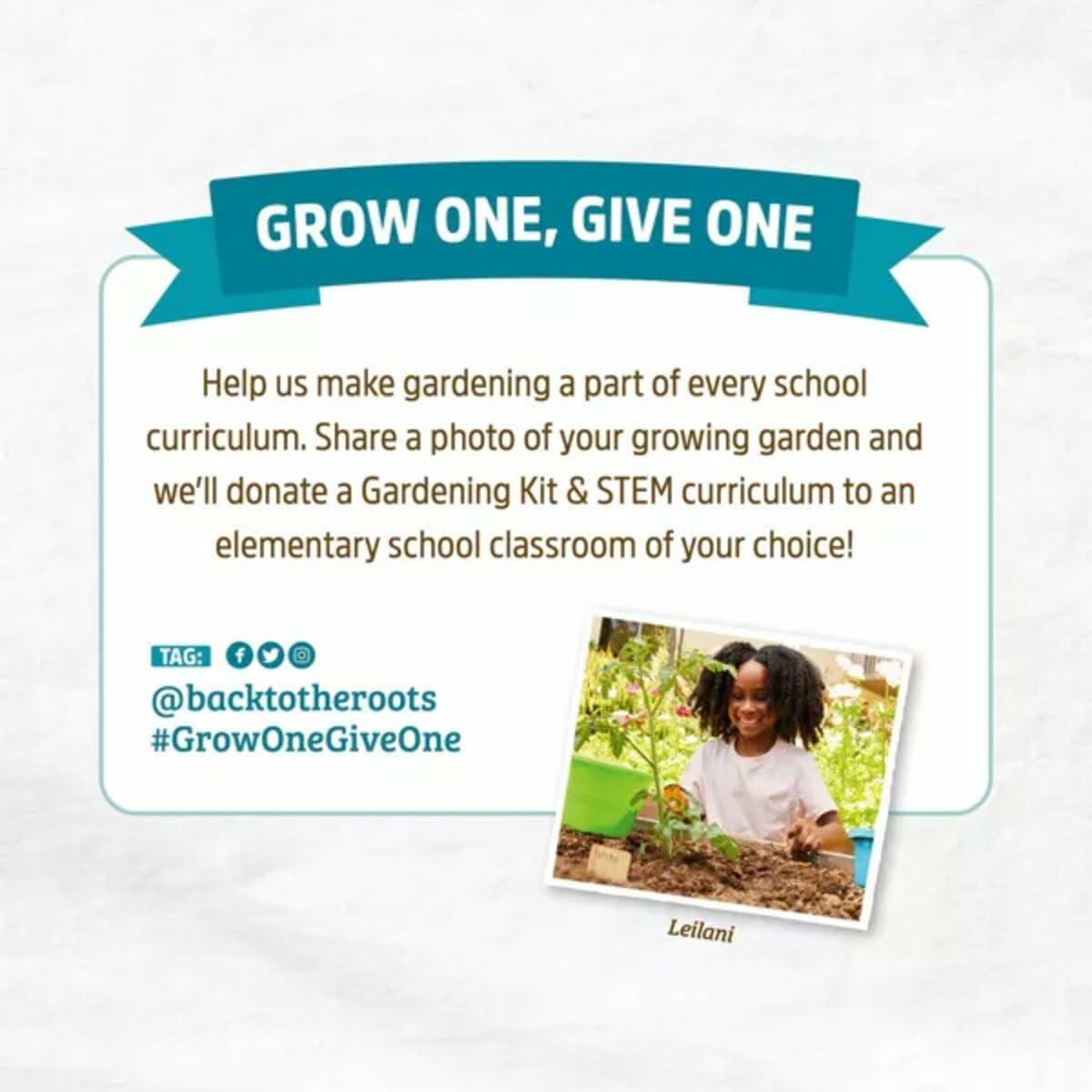 Wellness Grow Kit Lemon Balm Herb Plant Grow Kit 0.75lb Package