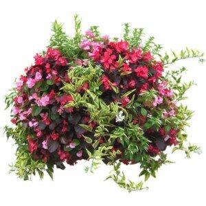 Rocky Mountain Goods Wall Planter Basket 14" Rust Proof Steel Brown