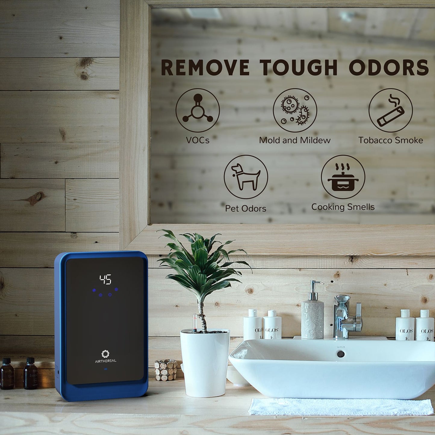 AH1000 Water Ozone Generator