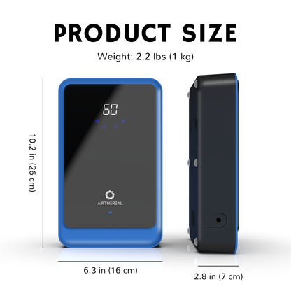 AH1000 Water Ozone Generator - European version