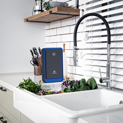 AH1000 Water Ozone Generator - European version