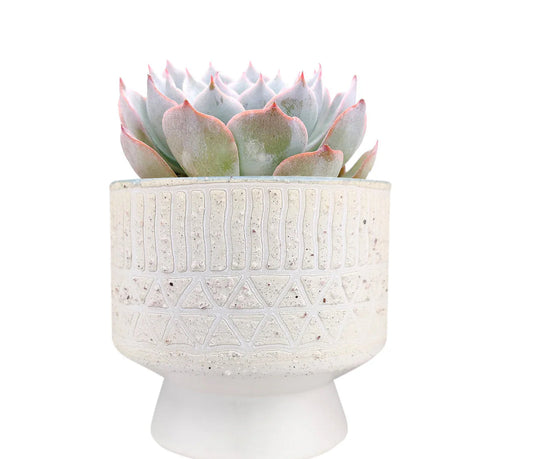 Umbra Footed Pot 4”