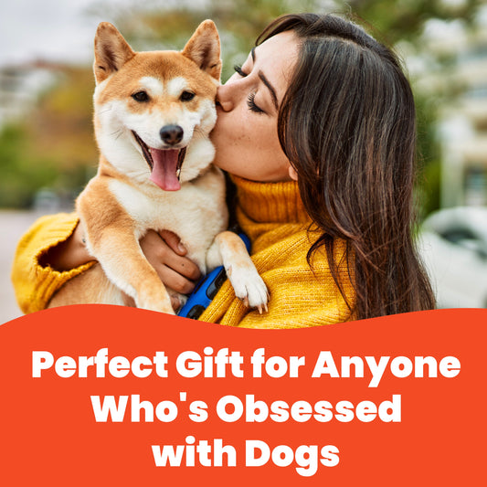 Dog-Themed Stylus Pen Set: 2 pcs. Dog Lover