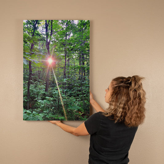 "Forest Sunrise, A Trailblazer's First Light" - Gallery Wrapped Canvas - Hiking With Stickers '24