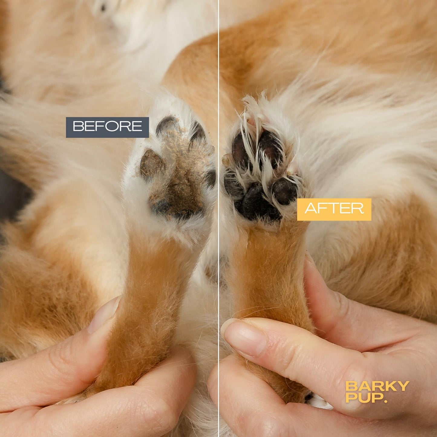 BARKY PUP Dog Paw Cleaner No-Rinse Foaming Dandelion 6.8 fl oz Made in USA