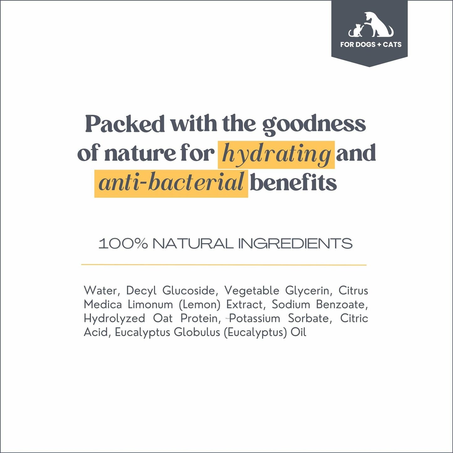 BARKY PUP Dog Paw Cleaner No-Rinse Foaming Dandelion 6.8 fl oz Made in USA