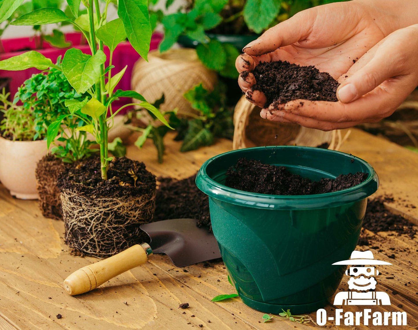 O-FarFarm Organic Potting Soil Mix 2qt Vegetable & Indoor Plants Soil