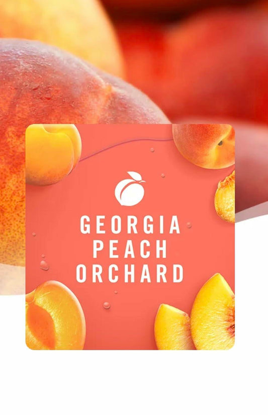 Febreze Air Effects Odor-Fighting Air Freshener Georgia Peach Orchard 8.8 OZ