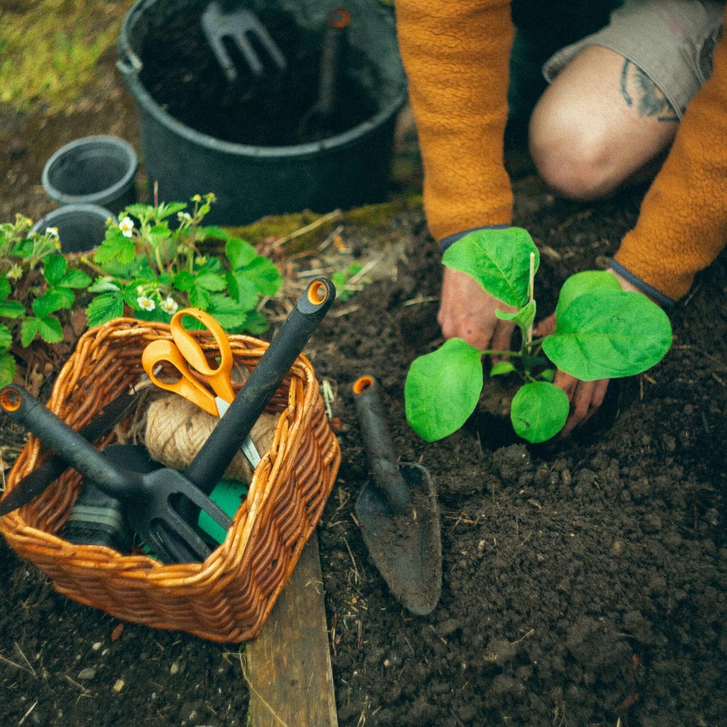 Fiskars Eco Transplanter Narrow Curved Spade Ergonomic Handle UV Resistant