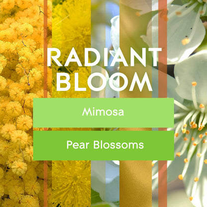 Glade Automatic Spray Refill Radiant Bloom Scented Air Freshener 6.2 Oz