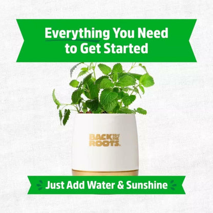 Wellness Grow Kit Lemon Balm Herb Plant Grow Kit 0.75lb Package