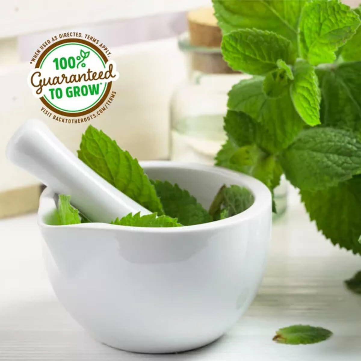 Wellness Grow Kit Lemon Balm Herb Plant Grow Kit 0.75lb Package