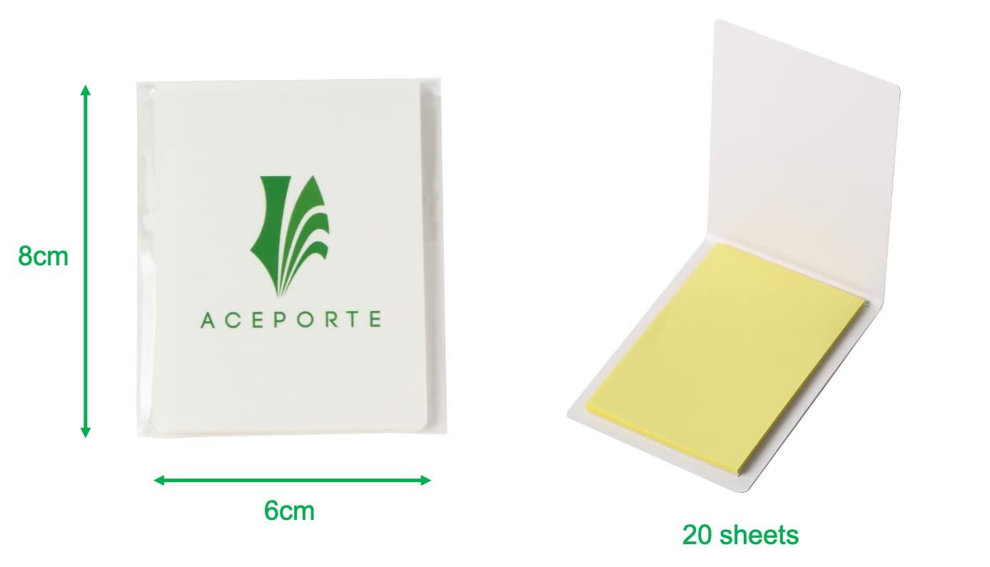 ACEPORTE POSCA Paint Marker Pen Set 10 Silver Medium Point Odorless