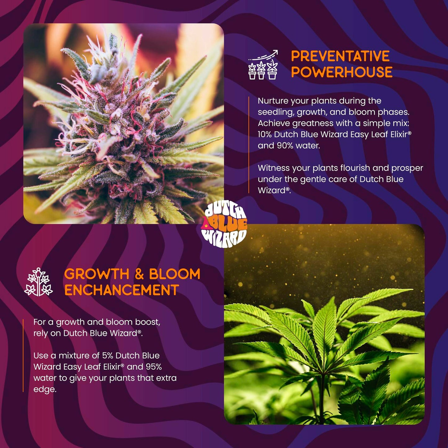 Dutch Blue Wizard Easy Leaf Elixir Plant Food Hydroponics Liquid Nutrient