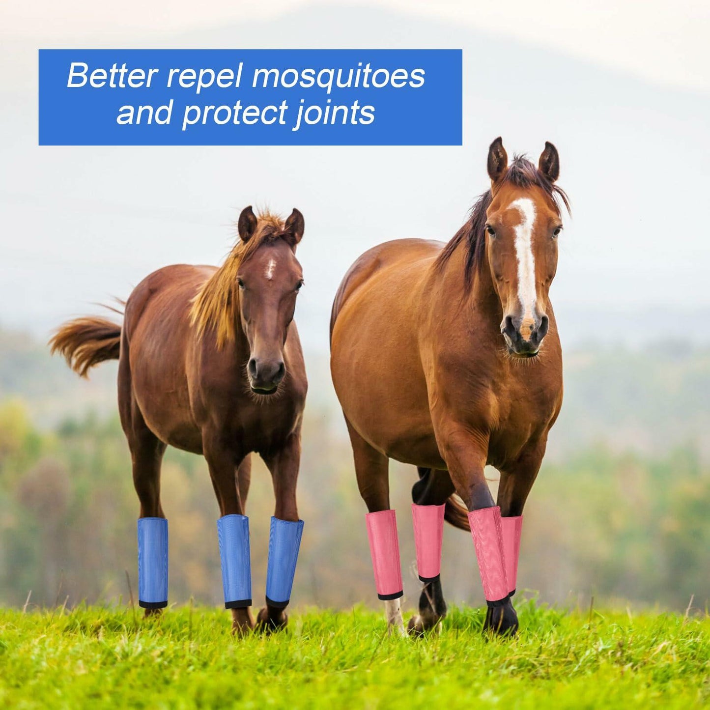 Bulyoou Set of 8 Mesh Fly Boots for Horse Breathable Adjustable Orange Purple