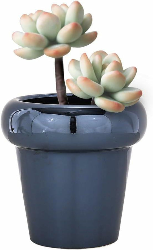 TENLOY 5in Blue Glazed Ceramic Indoor Planter Pot with Drainage Hole