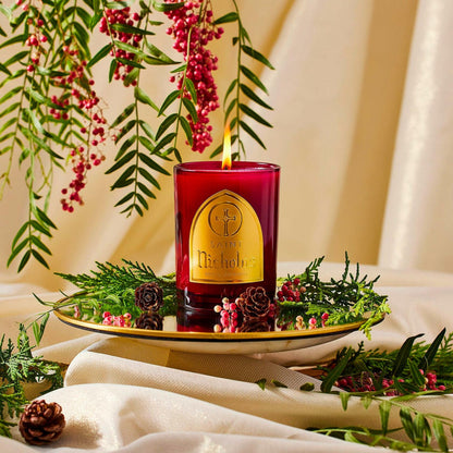 Saint Nicholas Scented Soy Coconut Candle Red Fir 80hr Burn Time Special Edition