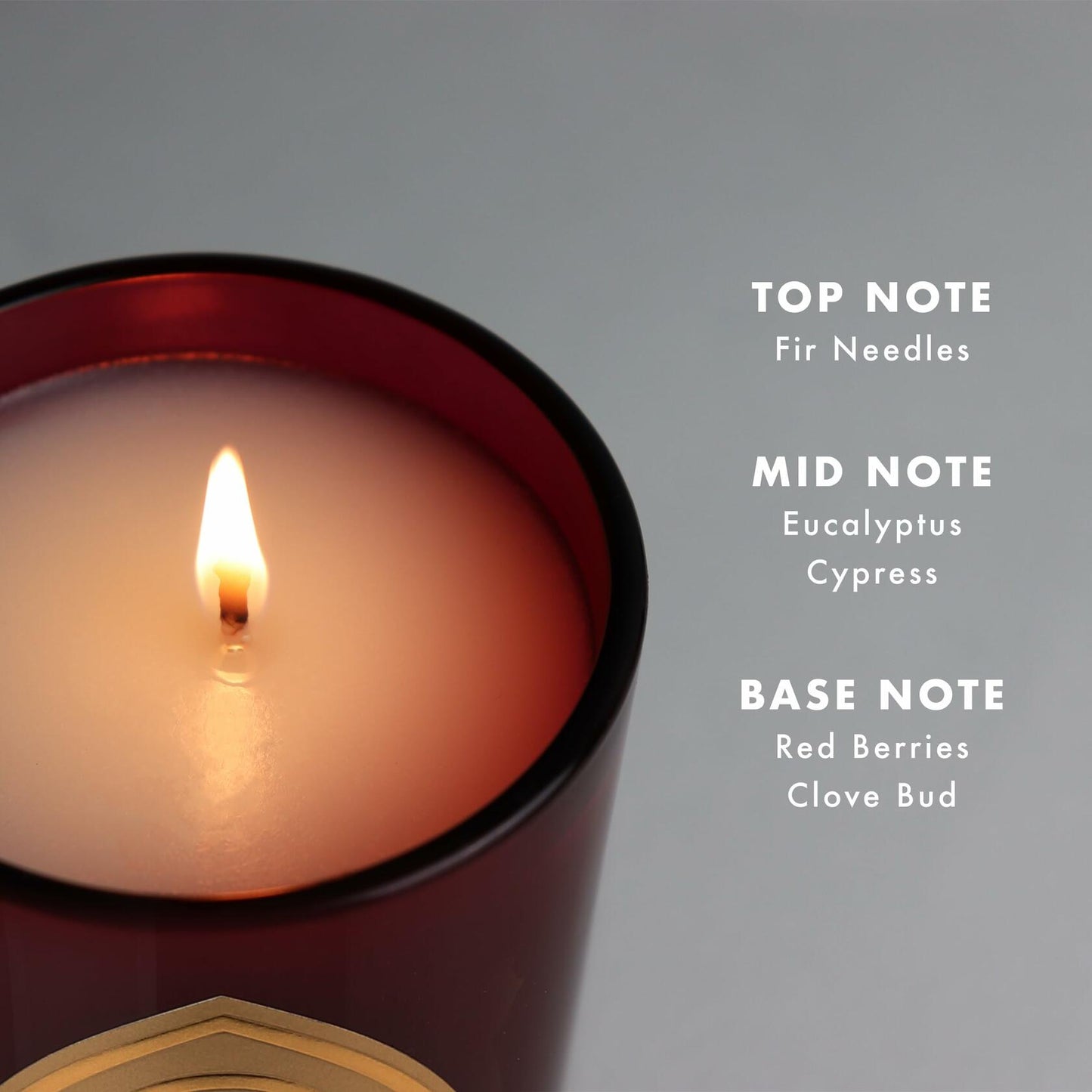 Saint Nicholas Scented Soy Coconut Candle Red Fir 80hr Burn Time Special Edition