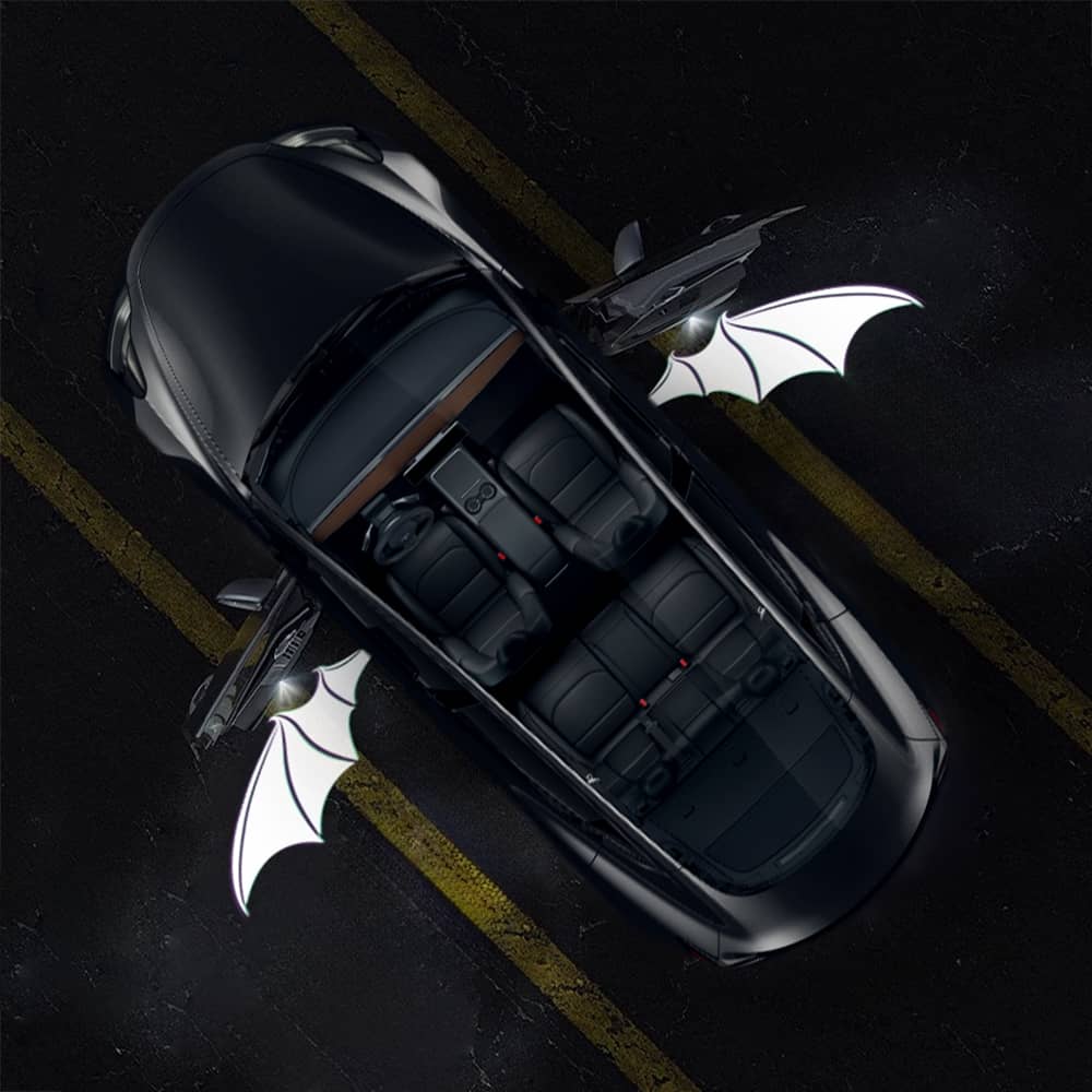 TESERY Angel Wings Door Welcome Lights for Model 3/Y/S/X